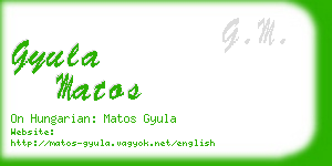 gyula matos business card